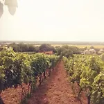 Kádárok Vendégháza A Somló-hegyen *
