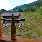 Casa vacanze Kádárok Vendégháza A Somló-hegyen *