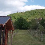 Kádárok Vendégháza A Somló-hegyen Casa vacanze Somloszolos