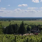 Casa vacanze Kádárok Vendégháza A Somló-hegyen *
