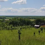 Kádárok Vendégháza A Somló-hegyen