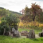 Casa vacanze Kádárok Vendégháza A Somló-hegyen *