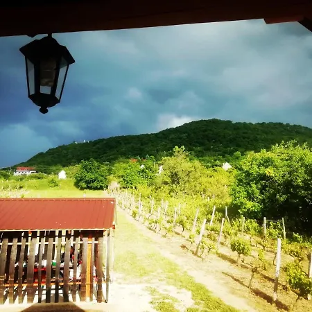 Kadarok Vendeghaza A Somlo-hegyen 別荘