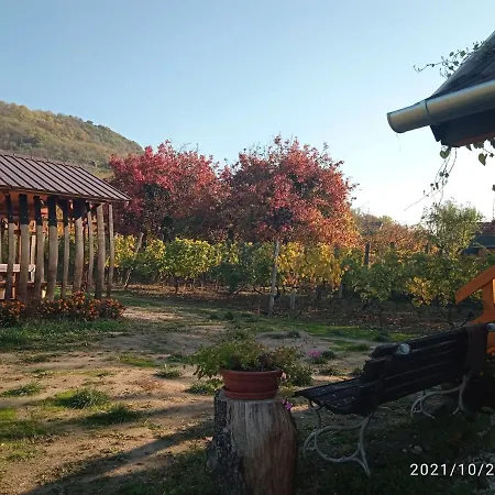 Kadarok Vendeghaza A Somlo-hegyen * Somloszolos