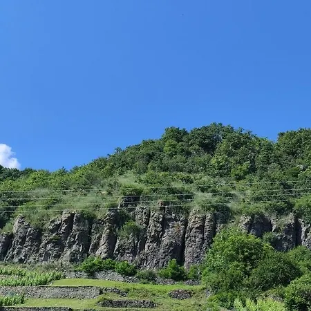別荘 Kadarok Vendeghaza A Somlo-hegyen *