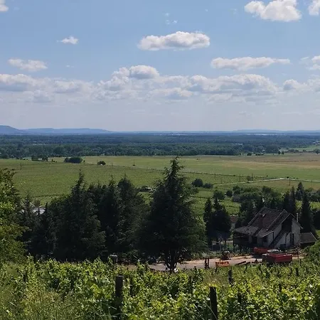 Nyaraló Kádárok Vendégháza A Somló-hegyen *