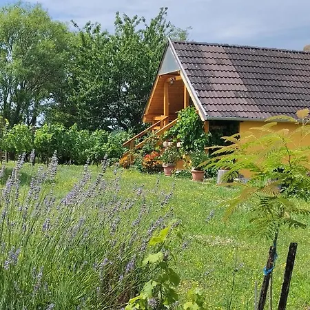 Holiday home Kadarok Vendeghaza A Somlo-hegyen *