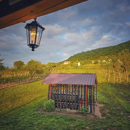 Kádárok Vendégháza A Somló-hegyen Nyaraló *